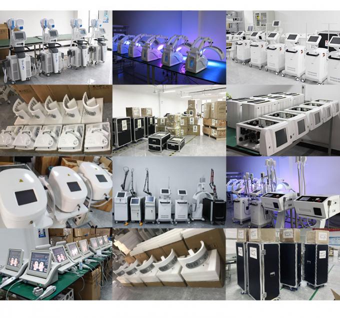 800w Cryotherapy顔機械-20c Cryotherapy Zimmer皮の冷却機械 14