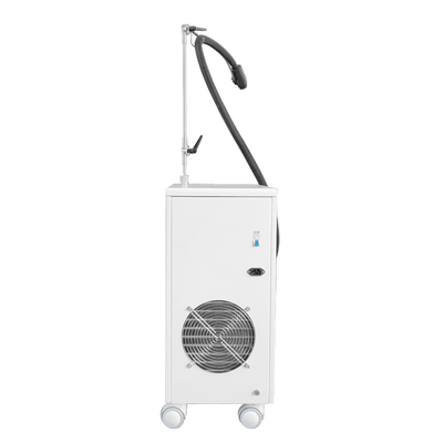 800w Cryotherapy顔機械-20c Cryotherapy Zimmer皮の冷却機械