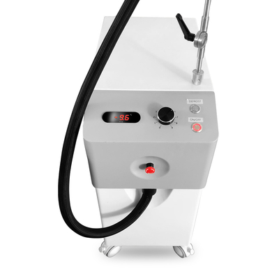 800w Cryotherapy顔機械-20c Cryotherapy Zimmer皮の冷却機械