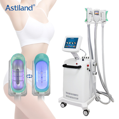 ボディ細くのための1つの脂肪質のフリーザー システムに付きCryolipolysis機械Cryo Lipolaser RFのキャビテーション4つ