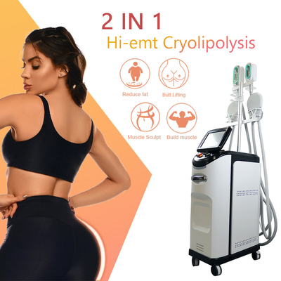 Cryolipolyse EMS機械360 Cryoの脂肪質の凍結のセルライトの取り外し
