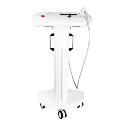 僅かRF Microneedle機械をきつく締める静止した皮