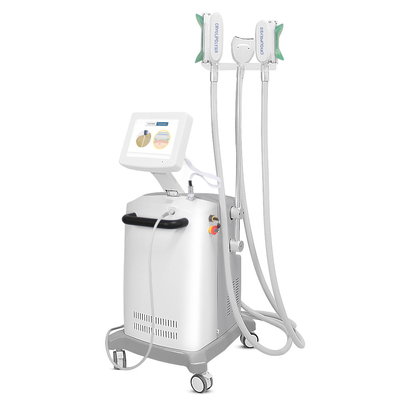 機械を細くする腹非常に熱く高く有効なCryolipolysis