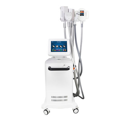 減量のための機械を細くする5つのハンドルCryo