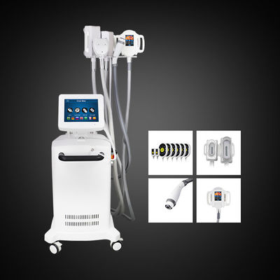機械腹脂肪質の減少機械を細くする5つのハンドルCryolipolysis